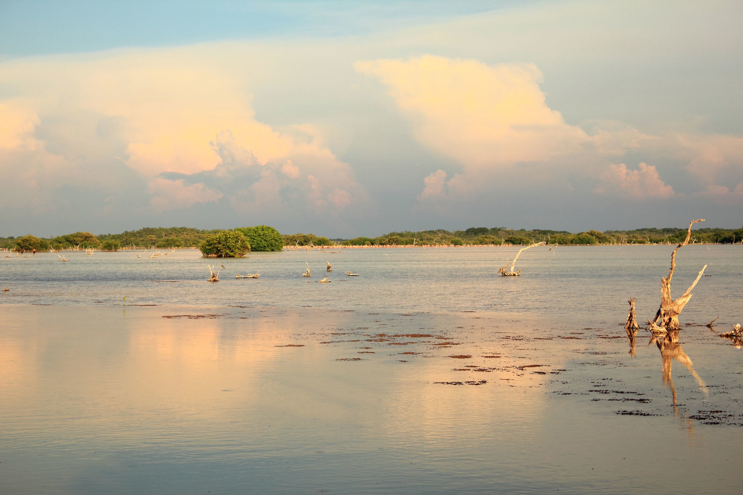 Conociendo Yucatán