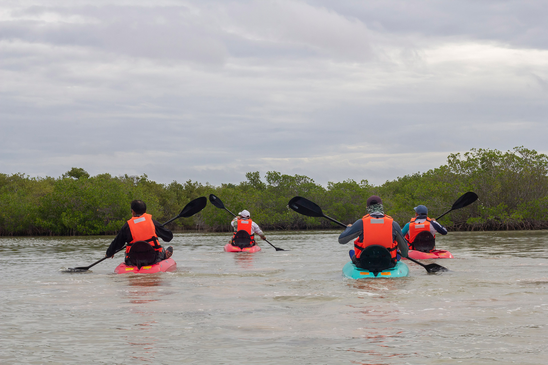 Aventura y naturaleza